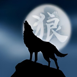 �����ʰ桷��Ѻ׬��